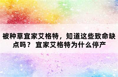 被种草宜家艾格特，知道这些致命缺点吗？ 宜家艾格特为什么停产